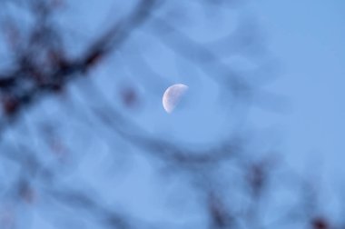 Mavi gökyüzündeki ay