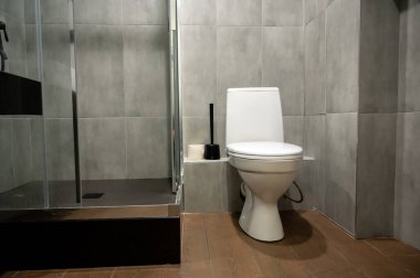 Banyo tuvaleti duş kabininin yanında, yeni tasarlanmış bir iç tasarım.