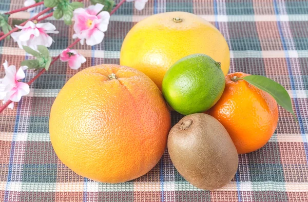 Grapefruit, kiwi, orange and lime with flowers — Stock Photo, Image