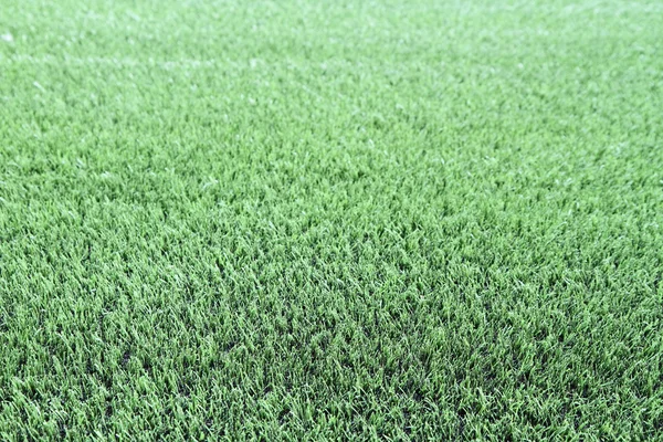 Green grass — Stock Photo, Image