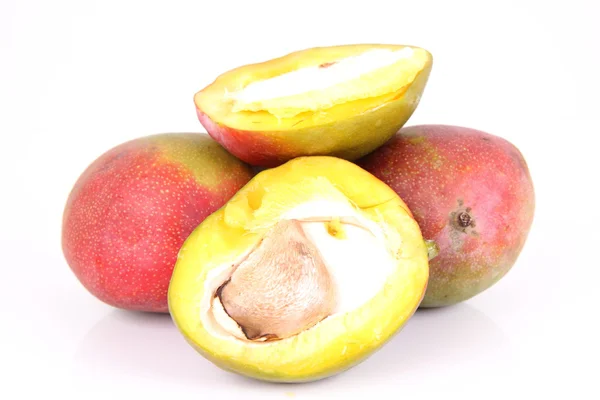 Mango. — Foto de Stock