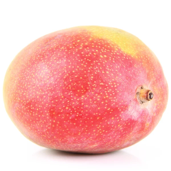 Mango — Stock Photo, Image