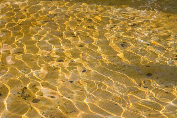 Mělká Voda Fontáně Slunečného Dne Pár Mincí Dně — Stock fotografie