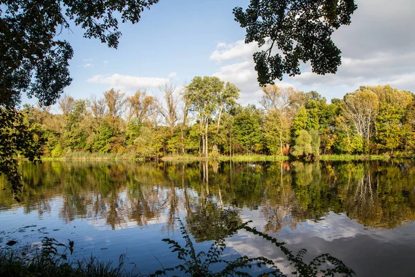 晴れた日に湖畔の木々の初秋の景色 — ストック写真