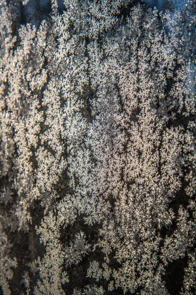 Frostmuster Auf Glas Nahaufnahme — Stockfoto