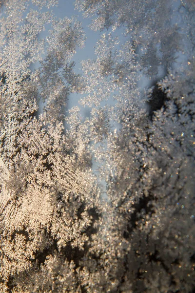 Frost Patterns Glass Close — Stock Photo, Image