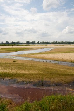 Backwater area of the Vistula river near Warsaw, Poland