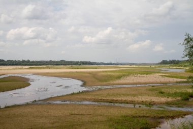 Backwater area of the Vistula river near Warsaw, Poland