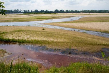 Backwater area of the Vistula river near Warsaw, Poland