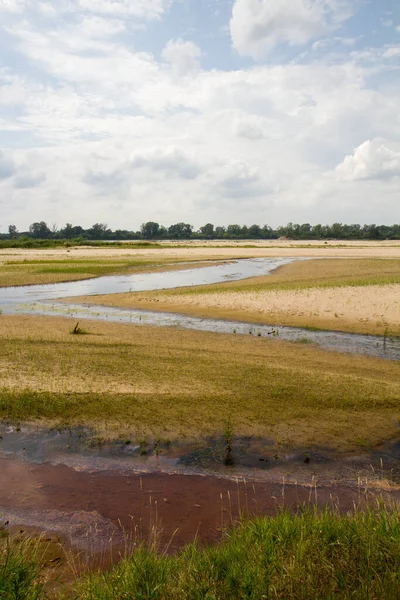 Backwater area of the Vistula river near Warsaw, Poland