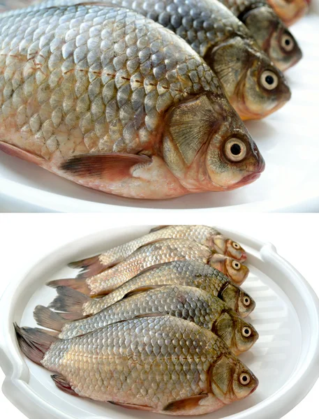 Poucos peixinhos dourados em uma bandeja — Fotografia de Stock