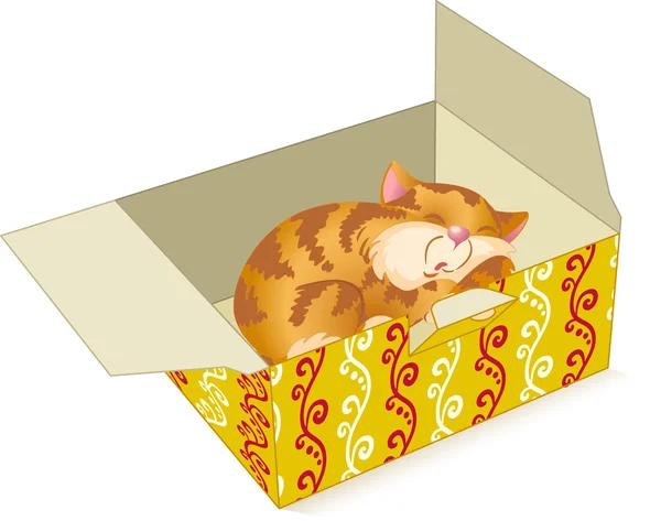 Kattunge i en låda — Stock vektor