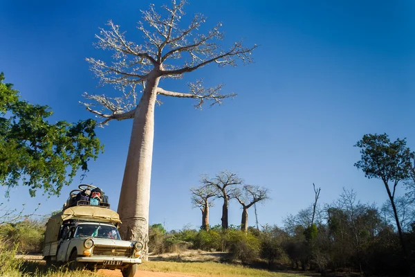 Bush taxi en baobab — Stockfoto