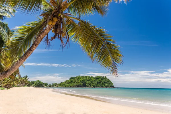 Paisagem de praia tropical — Fotografia de Stock