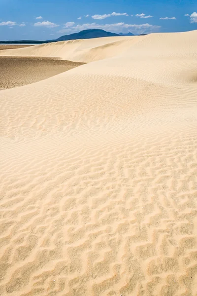 Dunas de areia e lago — Fotografia de Stock