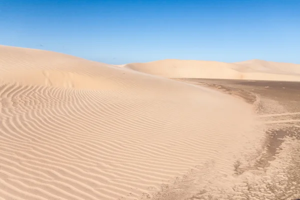 Песчаные дюны пустыни — стоковое фото