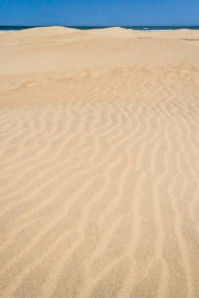 Dunes de sable et océan — Photo