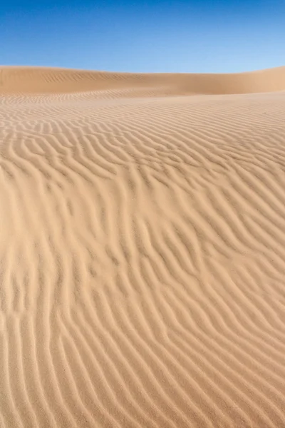 沙漠砂丘 — 图库照片