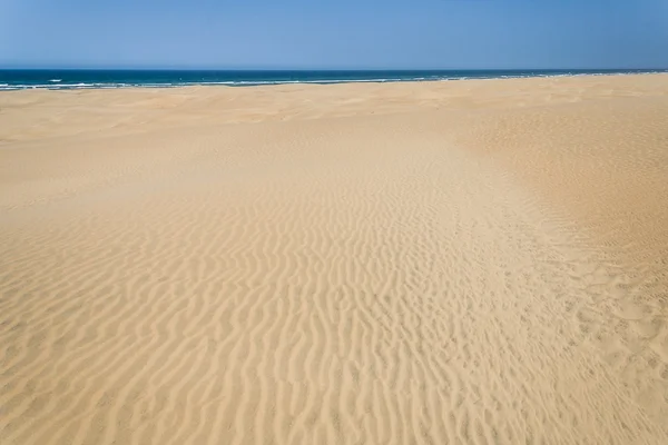 Sand dunes and ocean — Stock Photo, Image