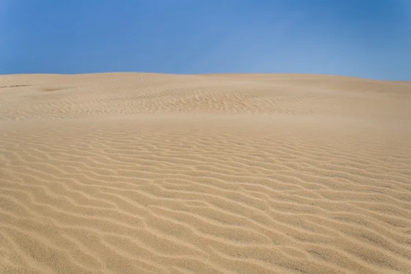 Sand dune of desert — Stock Photo, Image