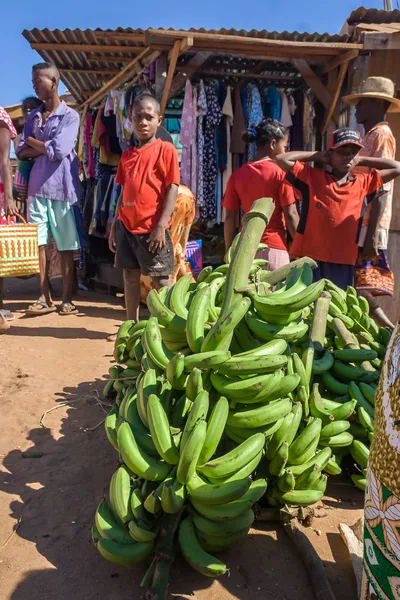 Bunch of bananas — Stock Photo, Image