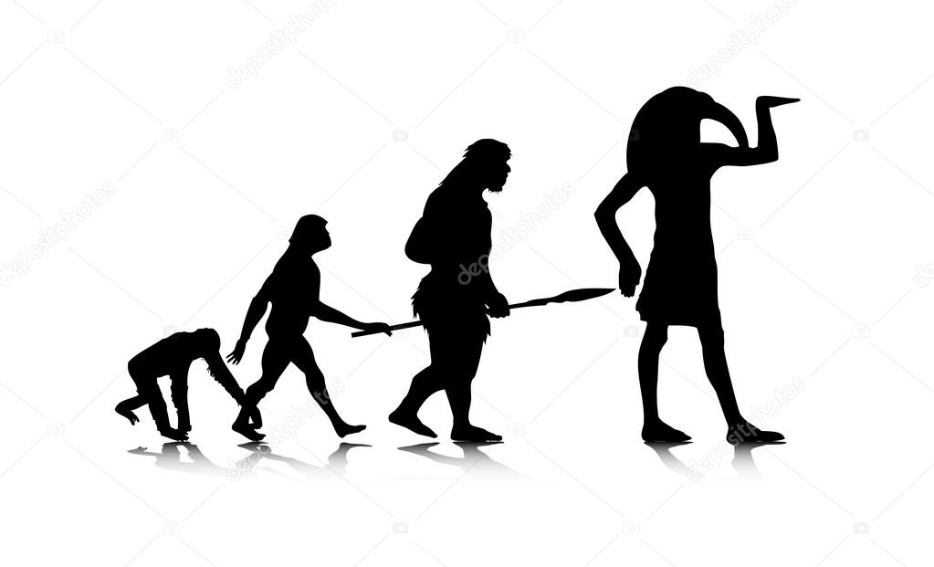 Human Evolution 12