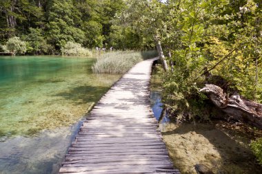 Tahta yol - plitvice gölleri, Hırvatistan, Avrupa