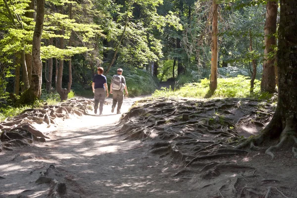 Two walking in Plitvice lakes — Stock Photo, Image