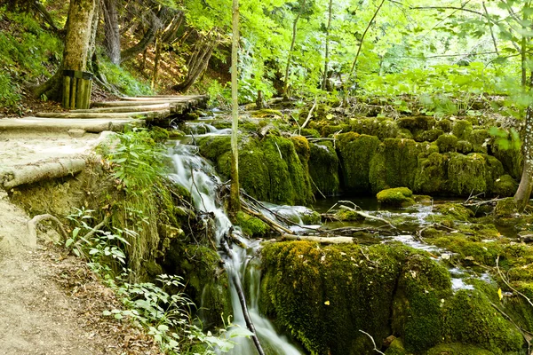 Плитвицкие озера, Хорватия — стоковое фото