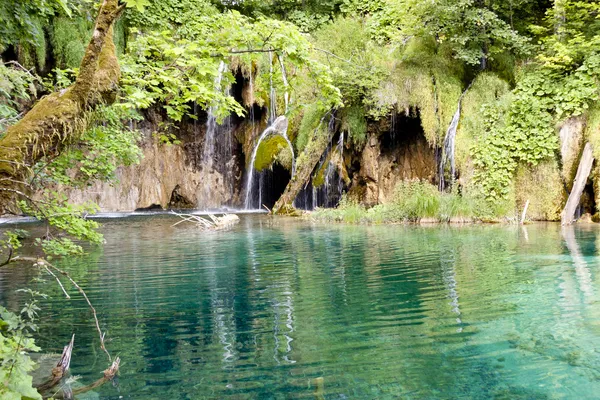 Wild nature - Plitvice lakes, Croatia — Stock Photo, Image