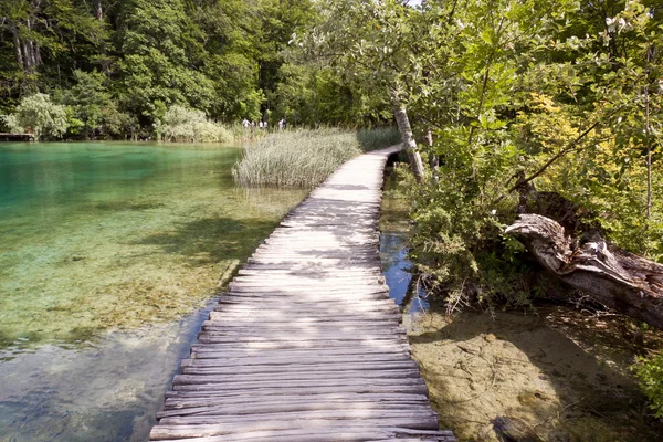 Caminho de madeira - Lagos Plitvice, Croácia, Europa — Fotografia de Stock