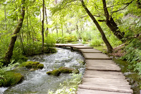 Λιμνών Plitvice - ξύλινο μονοπάτι. — Φωτογραφία Αρχείου