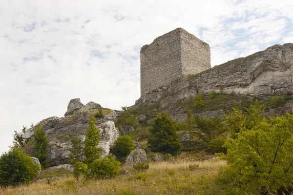 Vecchio castello - regione del Giura, Polonia — Foto Stock