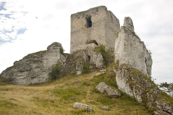 Gamla tornet - olsztyn, Polen. — Stockfoto