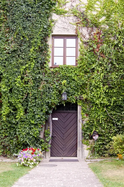 Drewniane drzwi i zielony ściana. — Zdjęcie stockowe
