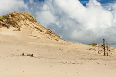 Leba dunes - Polonya.