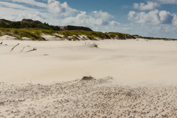 Golden beach in Leba - Poland. — Stock Photo, Image