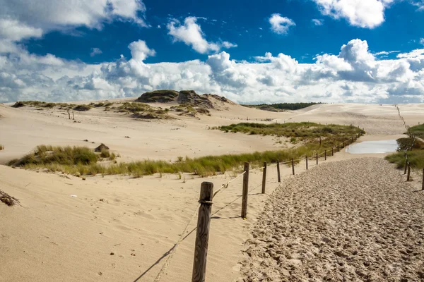 Dunes in Leba - Poland — Stock Photo, Image