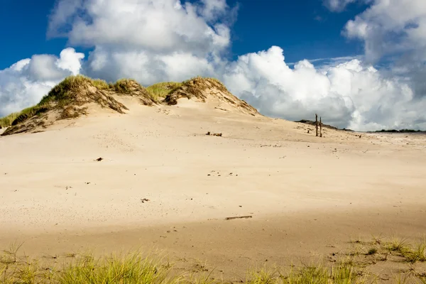 Nationalpark in leba - polen. — Stockfoto