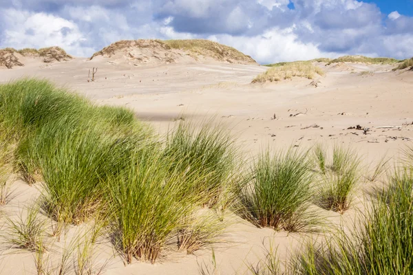 Leba nationalpark - Polen — Stockfoto