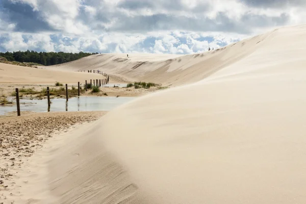 ポーランド、ウエバで砂丘. — ストック写真