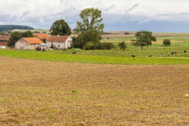 kırsal görünümü - Polonya