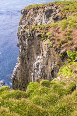 latrabjarg - İzlanda.