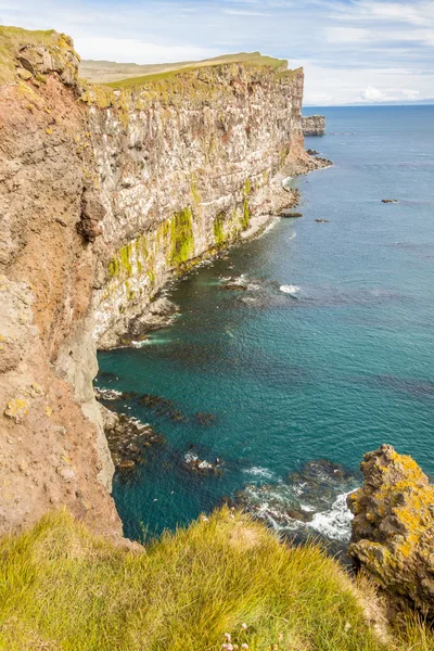 Latrabjarg klippor - Island. — Stockfoto