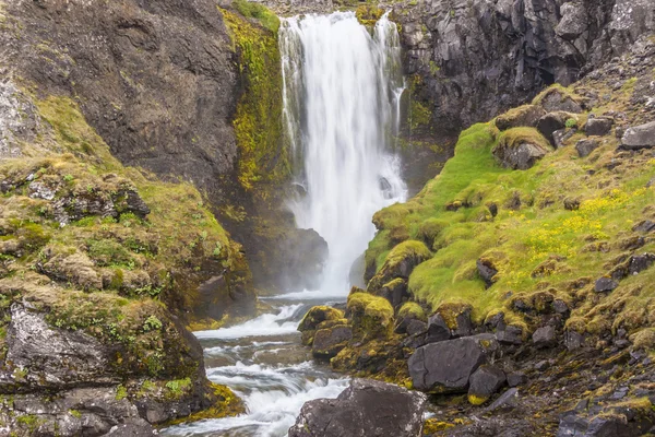 Cascada de belleza - Islandia . —  Fotos de Stock