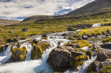 hızlı temiz nehir - İzlanda, westfjords.