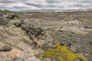 dimmuborgir area, volkanik manzara - İzlanda.