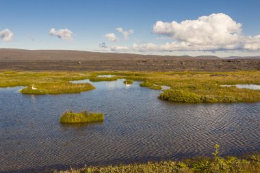 küçük bir göl - İzlanda.