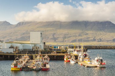 djupivogur Köyü - İzlanda liman.