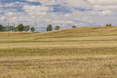 hasat zamanı - Polonya kırsal görünümü.